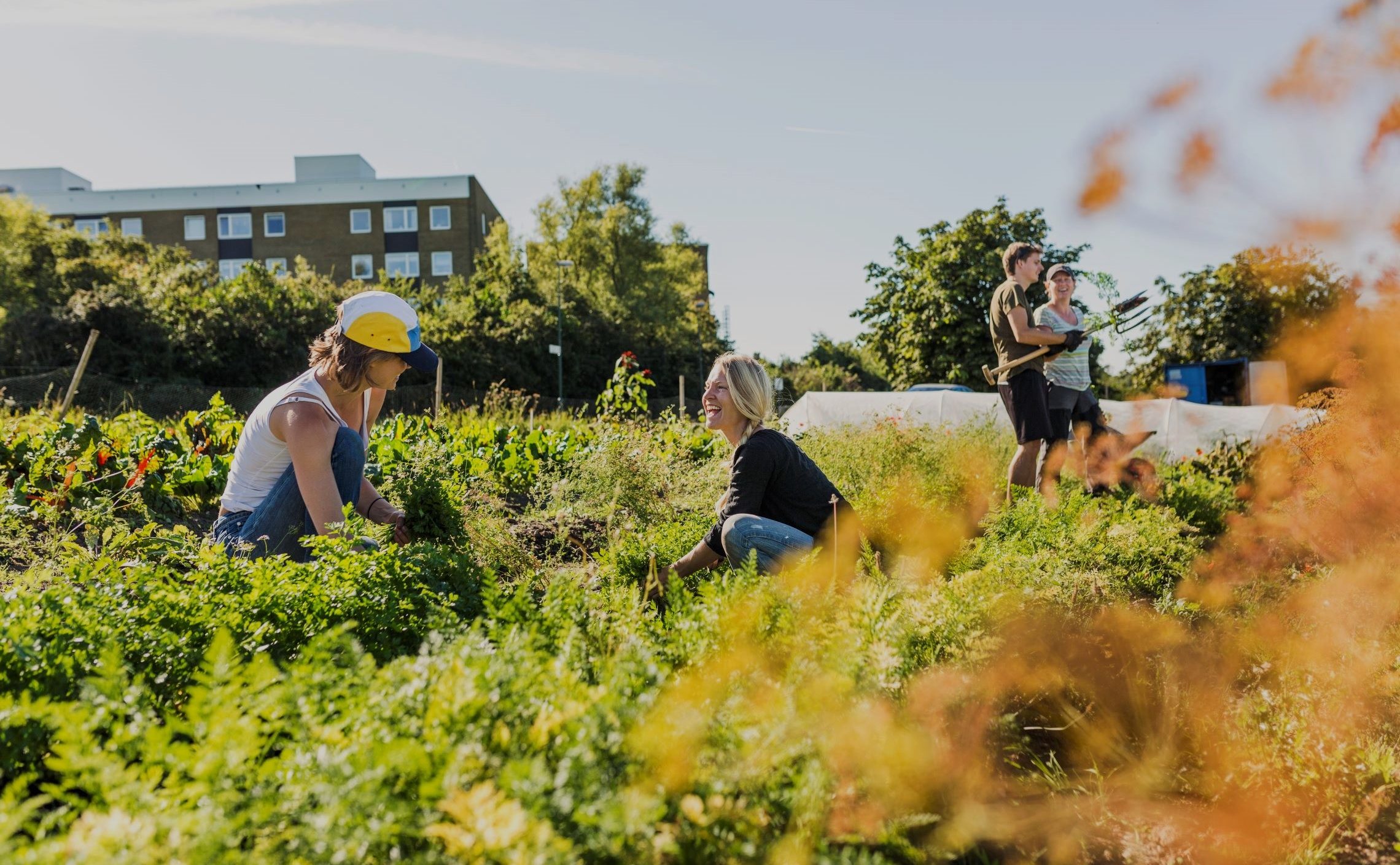 Climate Friendly Communities