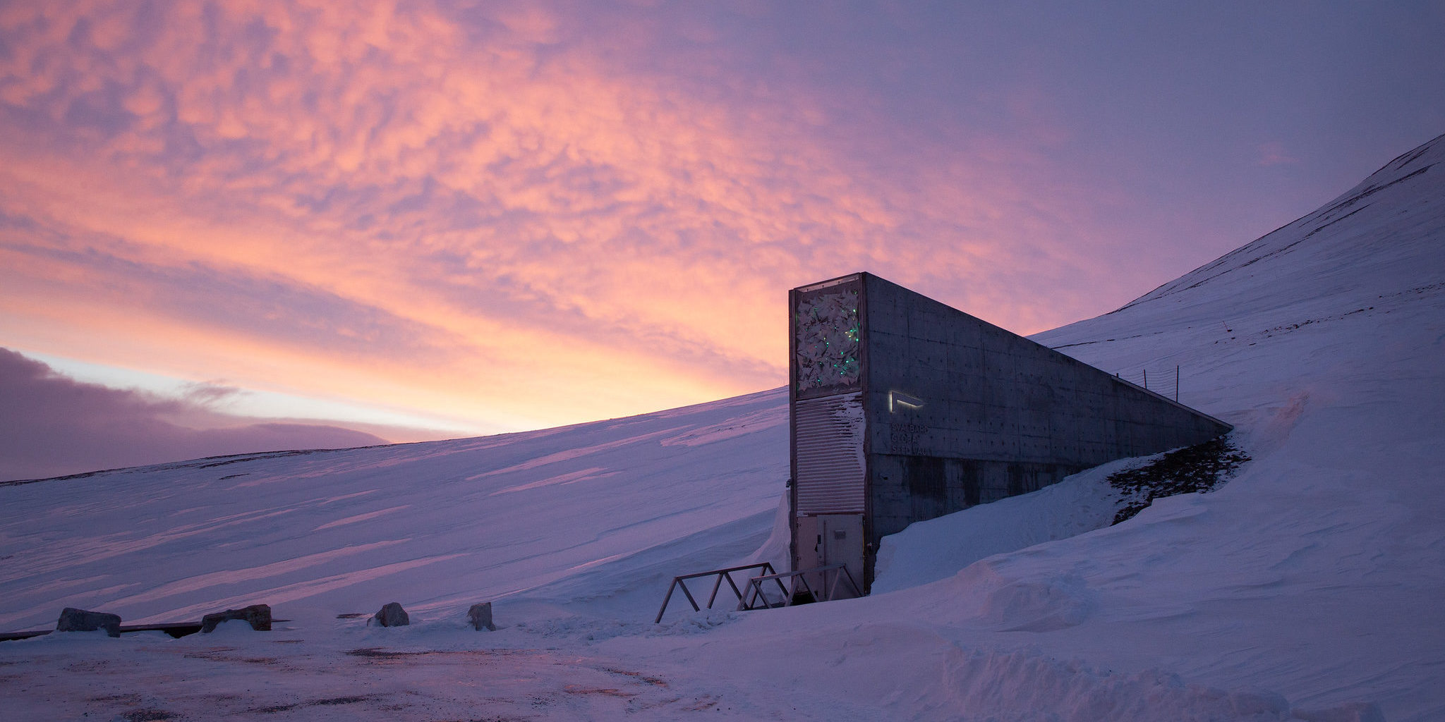 Lithuanian seeds are going to the Svalbard Global Seed Vault!