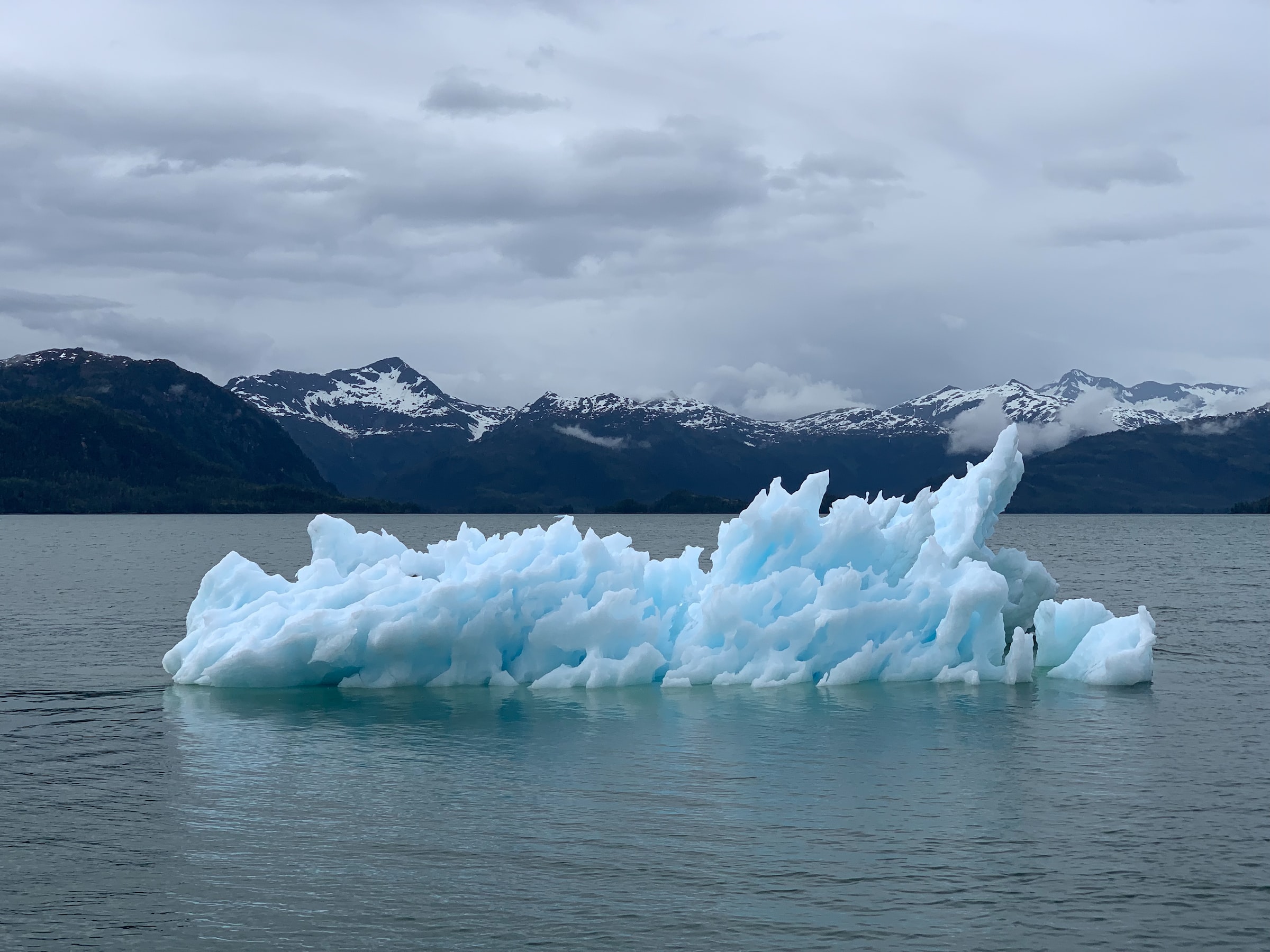 The Nordic perspective at COP27