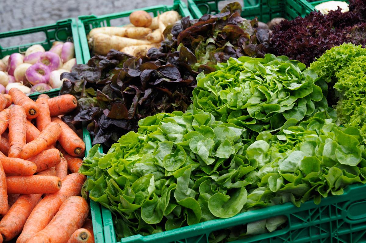 Less meat, more plant-based: Here are the Nordic Nutrition Recommendations 2023